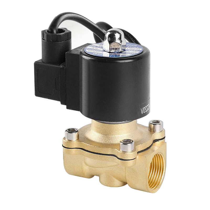 1/2インチ、1インチ、1-1/4インチ、2インチ防水噴水用ソレノイドバルブ AC220V DC24V 12V 常時閉型真鍮製ソレノイドバルブ（水中用）