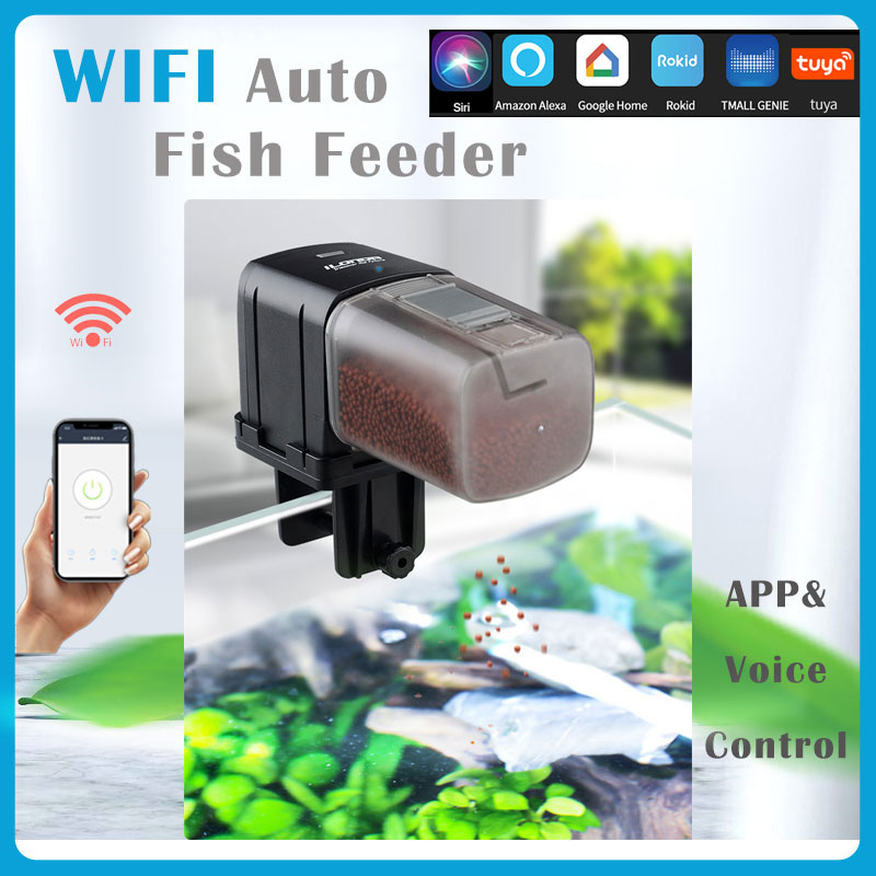 Ilonda Wifi 魚の餌箱器官スマート制御水族館タンク自動給餌装置タイミング釣り機器アクセサリー鯉