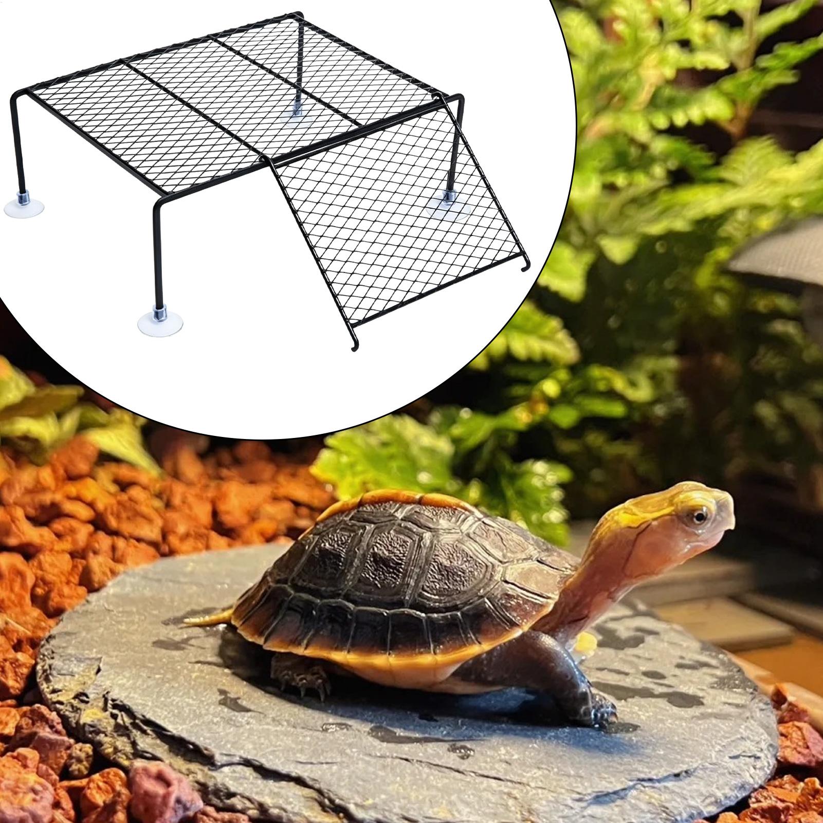 カメバスキングドック吸盤休憩地カメタンクスッポンサンショウウオカニカメリビングルーム用バスキングエリア