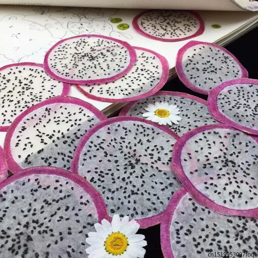 5X 乾燥プレス Hylocereus Undatus ホワイト 'Foo-Lon' スライスフルーツ植物ハーバリウムジュエリーフォトフレーム電話ケースブックマーク DIY