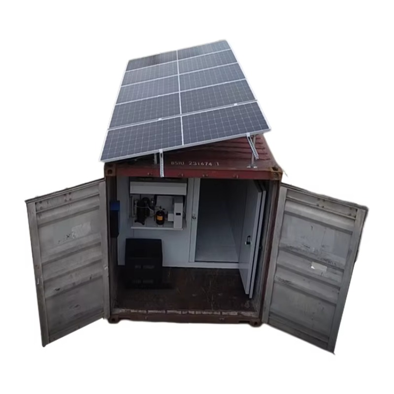 Solar Powered Commercial Cold Storage Walk in Freezer With Solar Panels for Milk Fruit