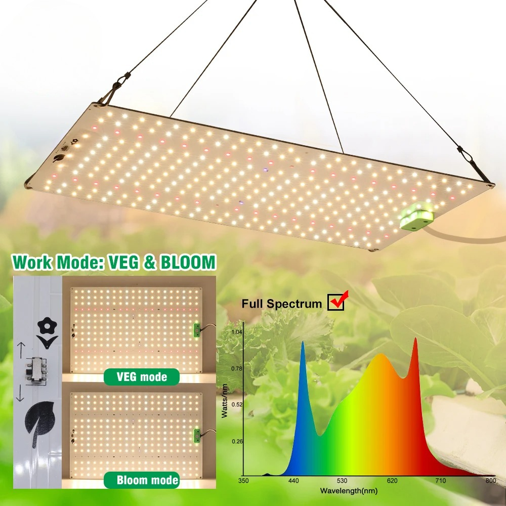 Full Spectrum LED Grow Light LM281B Diode LED Sunlike Quantum Grow Lamp For Greenhouse Hydroponic Plant Growth Lighting