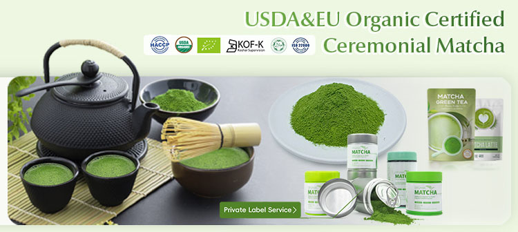 Pincredit バルク価格プライベート ラベル EU 標準抹茶有機儀式グレード抹茶緑茶粉末