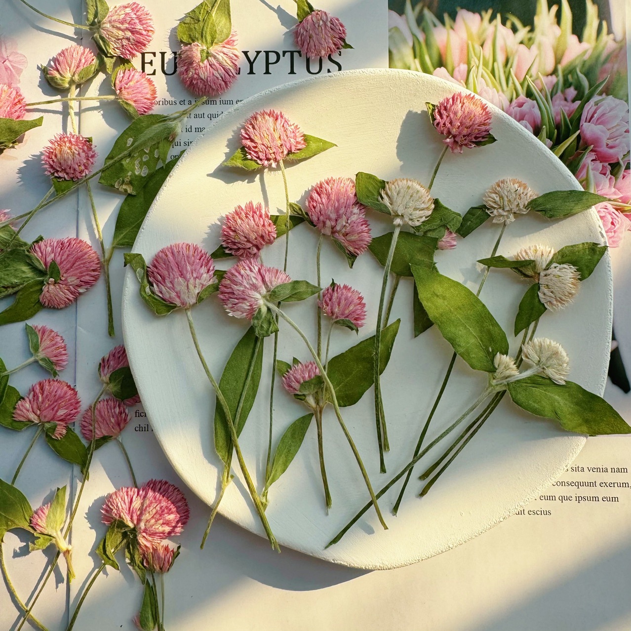 60 個ドライフラワー押し花樹脂ブックマーク本物の花植物標本テーブルランプフォトフレーム手作り押し花 DIY 材料