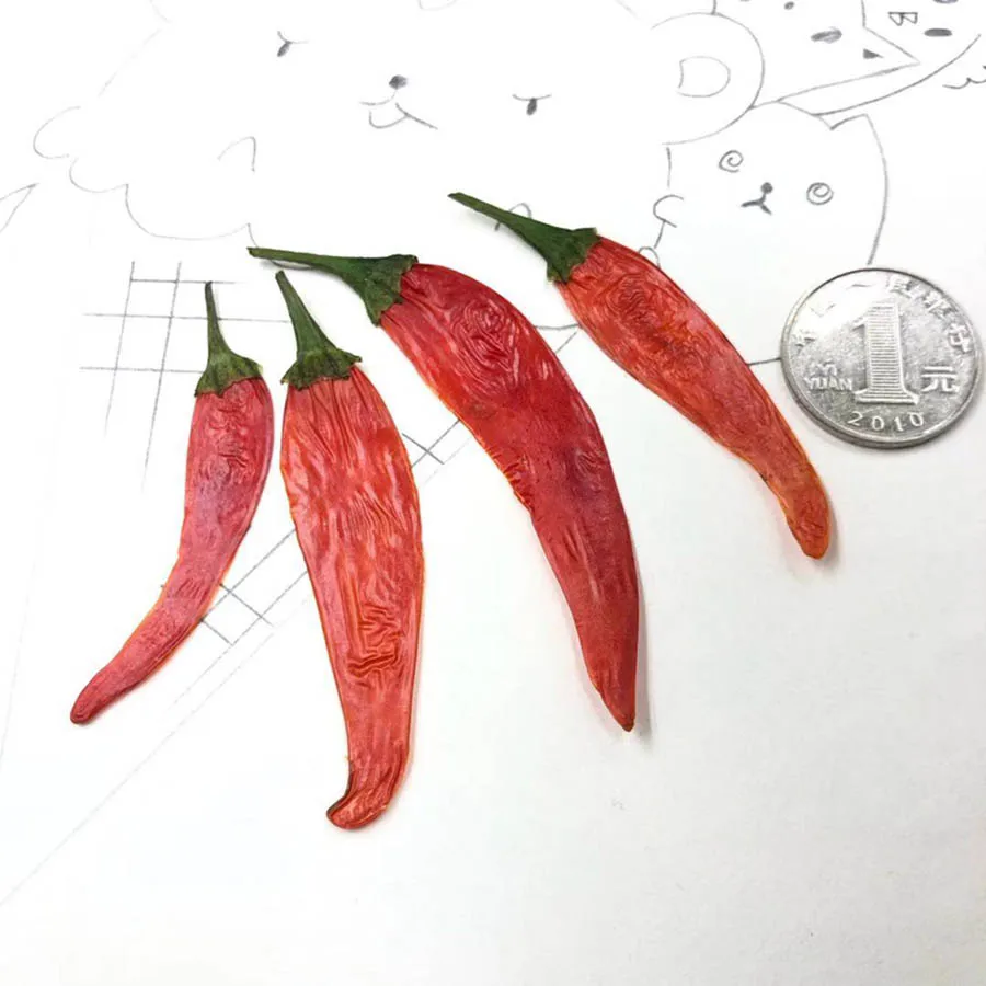 10 個 5-7 センチメートルプレス乾燥赤唐辛子野菜植物ハーバリウムジュエリーはがき招待カード電話ケースしおり作り