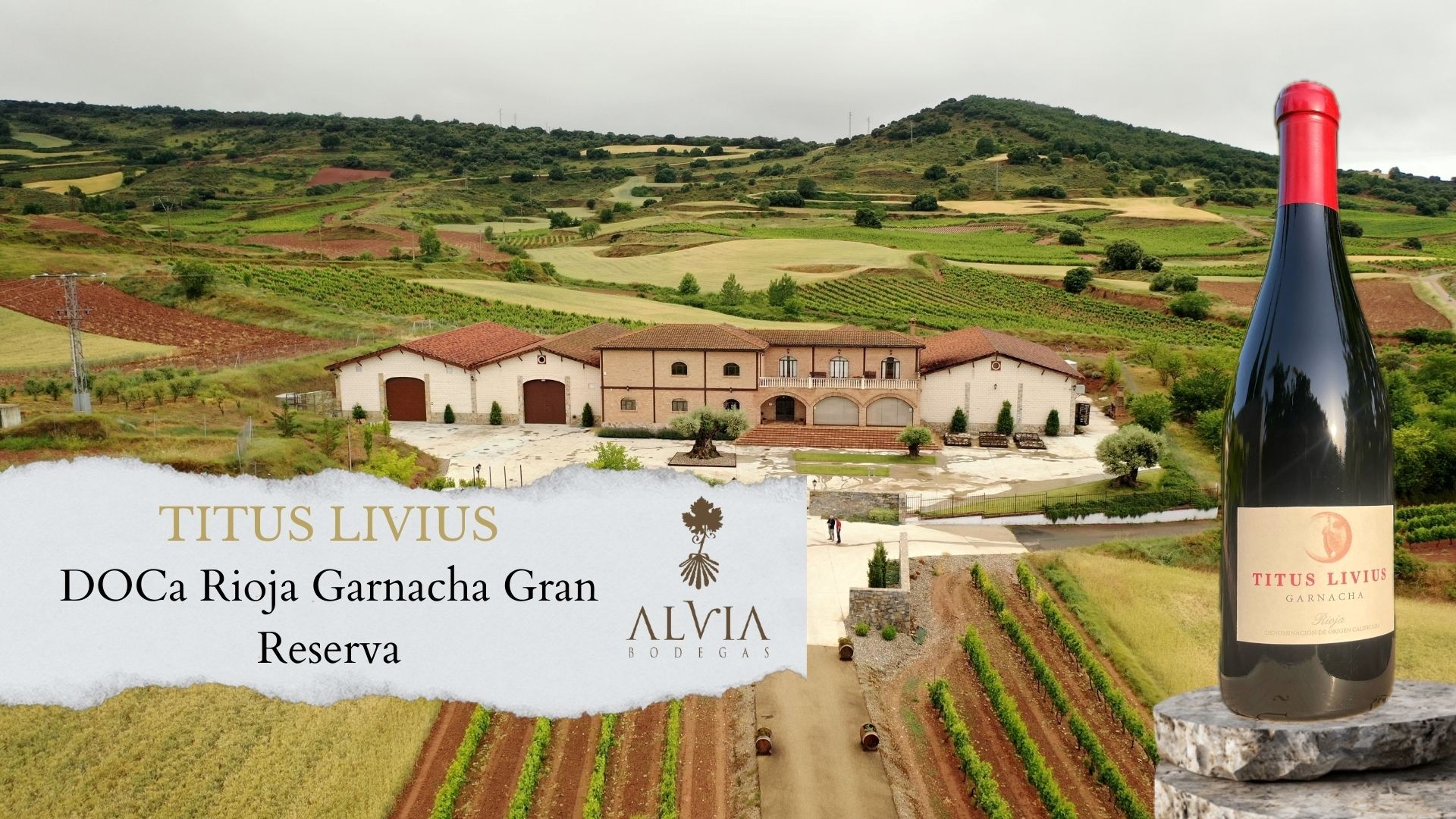 Titus Livius Wine Premium Quality Vintage for Connoisseurs