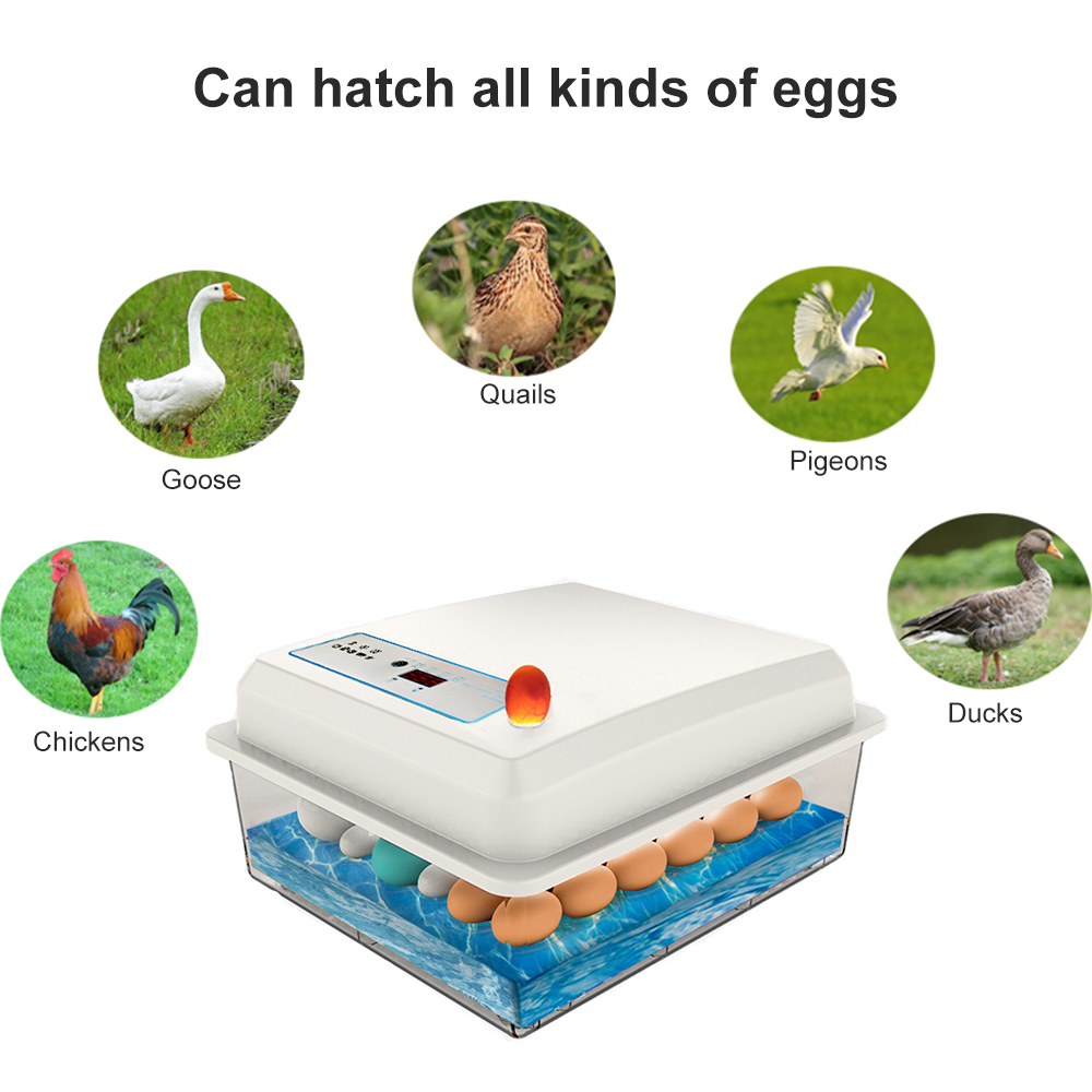 50 卵インキュベーター全自動鳥鶏ガチョウアヒル卵インキュベーター家庭用農場孵化ツール