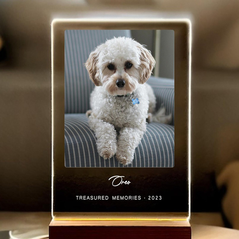 LEDライト付きパーソナライズされたペットメモリアルプラークカスタム犬猫写真ライトアップペット犬猫愛好家への記念品ギフト