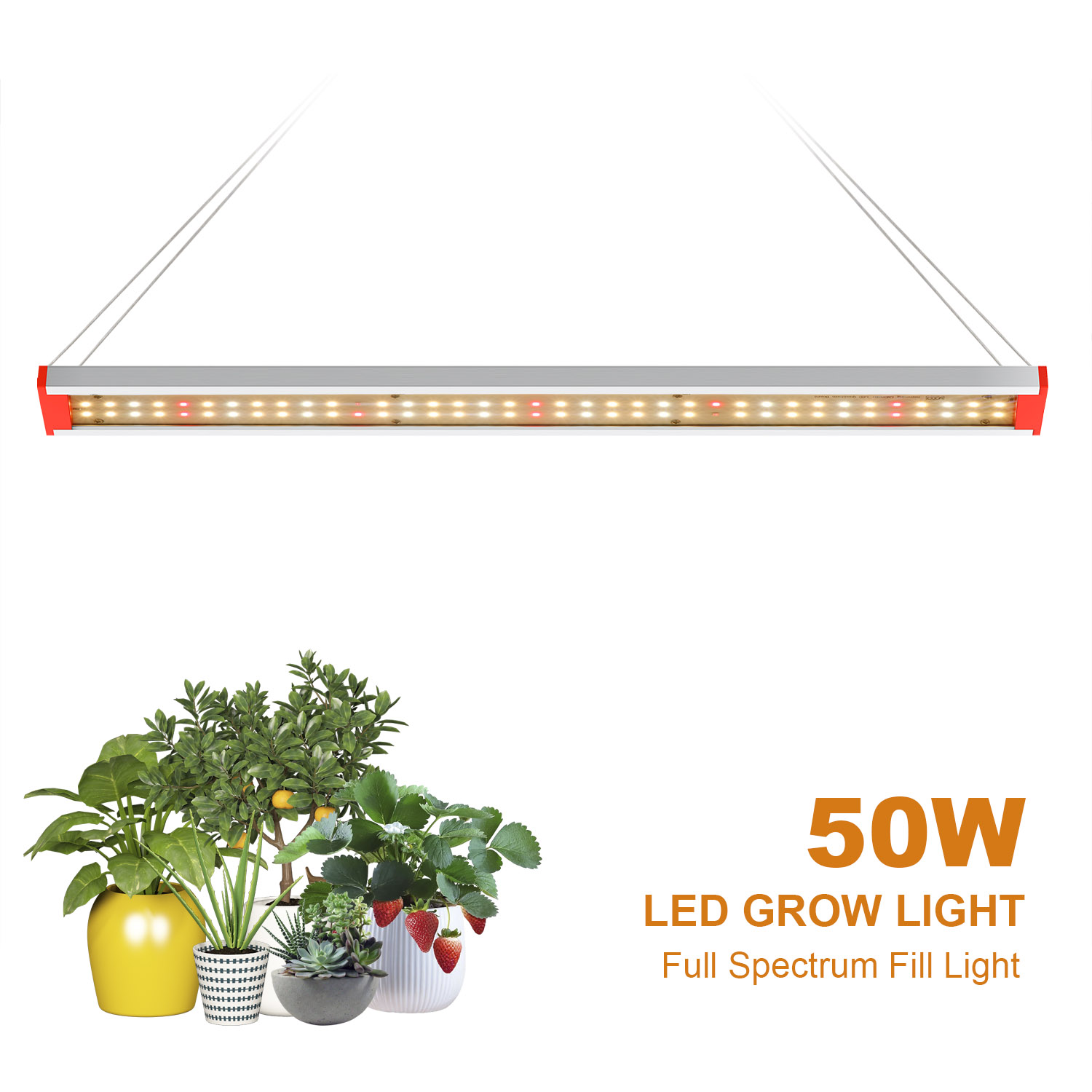 50W 100W LM283B+ LED Grow Light Full Spectrum Phyto Lamp for Plant  Veg and Bloom Full Spectrum Hydroponic Lamp Flower