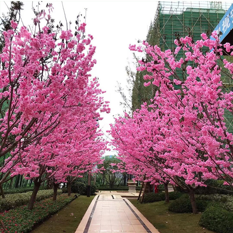 3 個 110 センチメートル人工桜ピンク桜の木の枝シルクシミュレーション花の花の壁の結婚式の装飾家の装飾