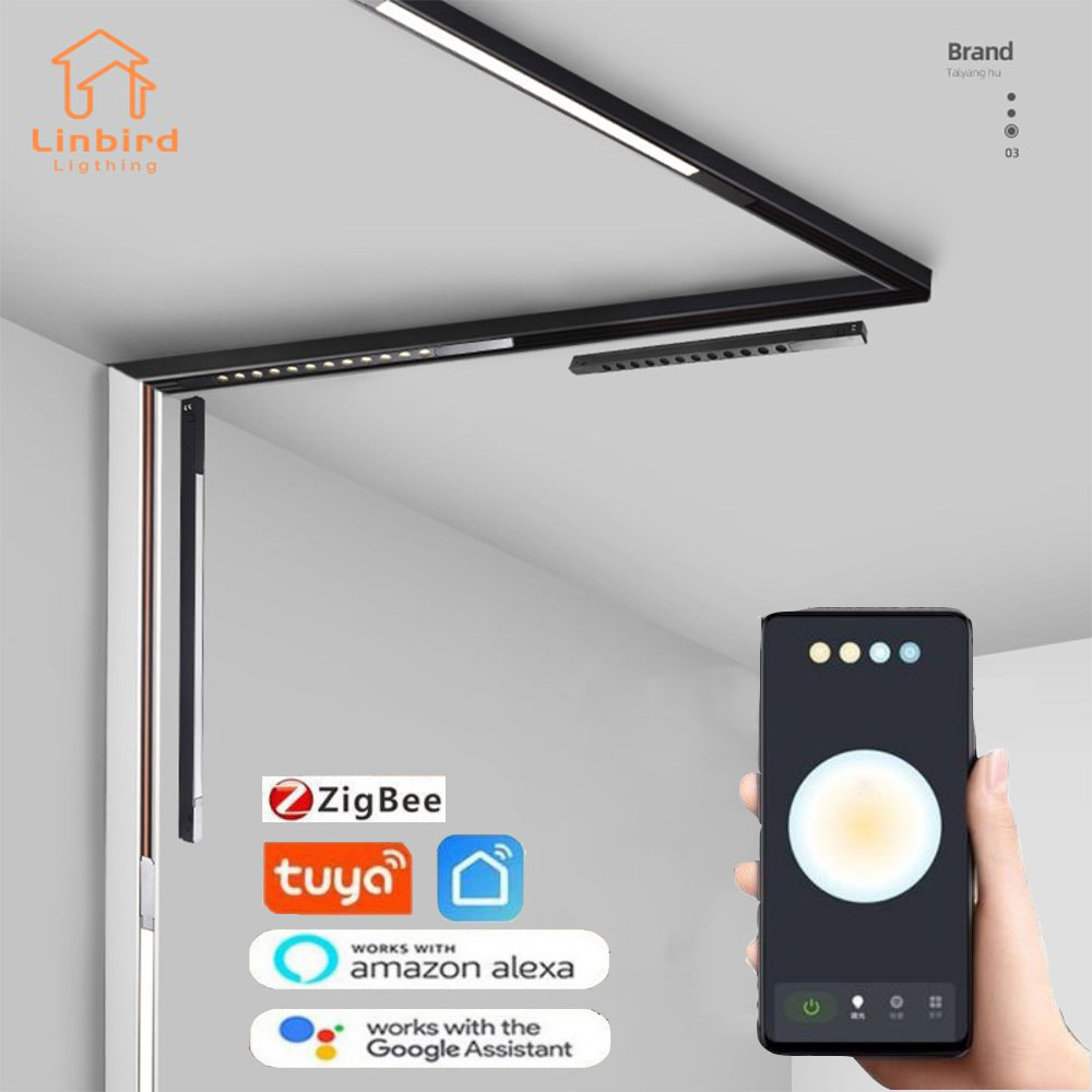 薄型 Zigbee 磁気 Blcak トラックレールライトシステムシンプルモダン埋め込み柔軟な器具 LED スポットライト天井屋内リビング