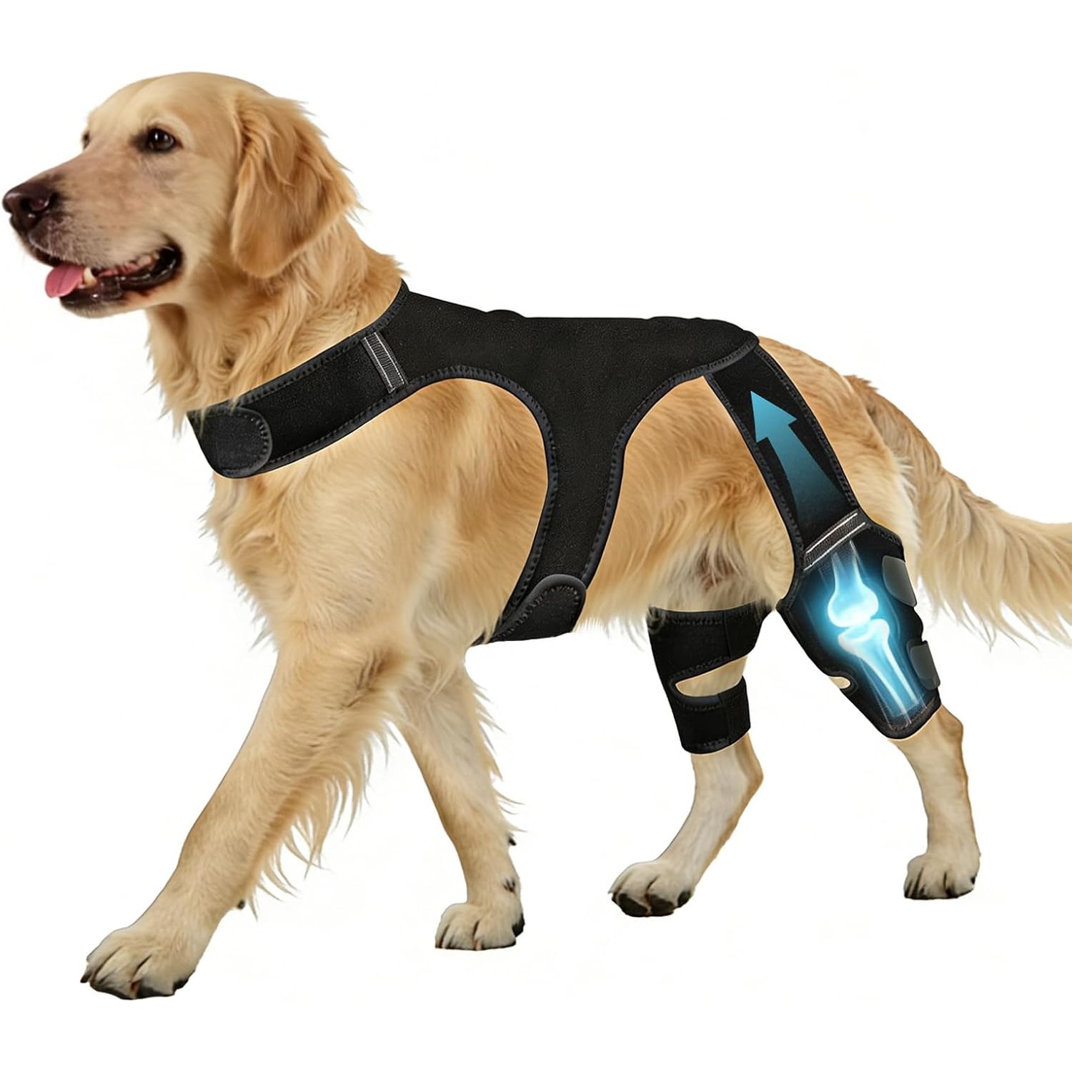 犬の後部脚用膝ブレース、犬のACL/CCLケア用膝サポート、犬の後部座席に最適、子犬の回復のための二重脚の安定性