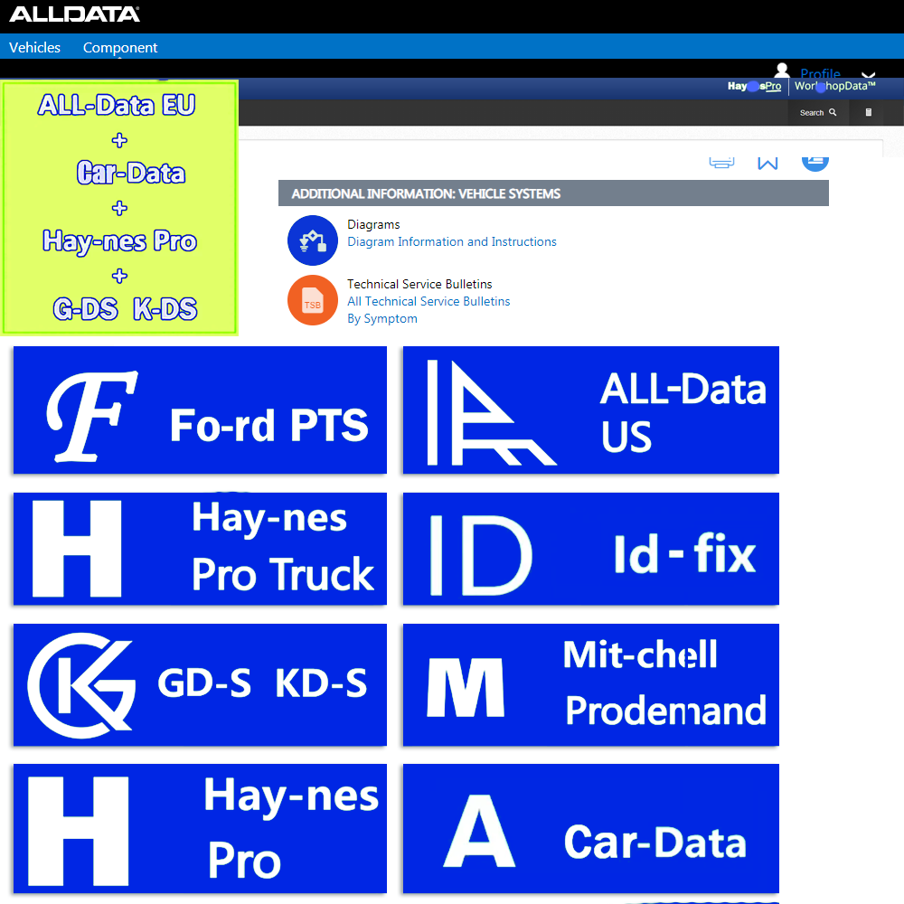 Alldata の 2026 オンライン アカウント All Data EU Hay-nes PRO フルバージョンの最新自動車修理ソフトウェア モバイル/PC ログイン