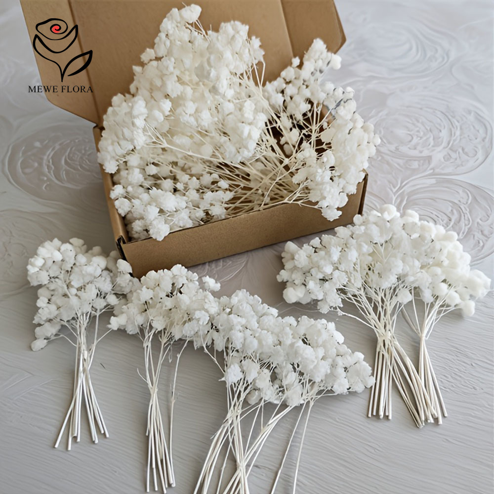 50 個ミニホワイト乾燥赤ちゃんの息の花の花束小さな束カスミソウバルク DIY 工芸品招待状キャンドル作り家の装飾
