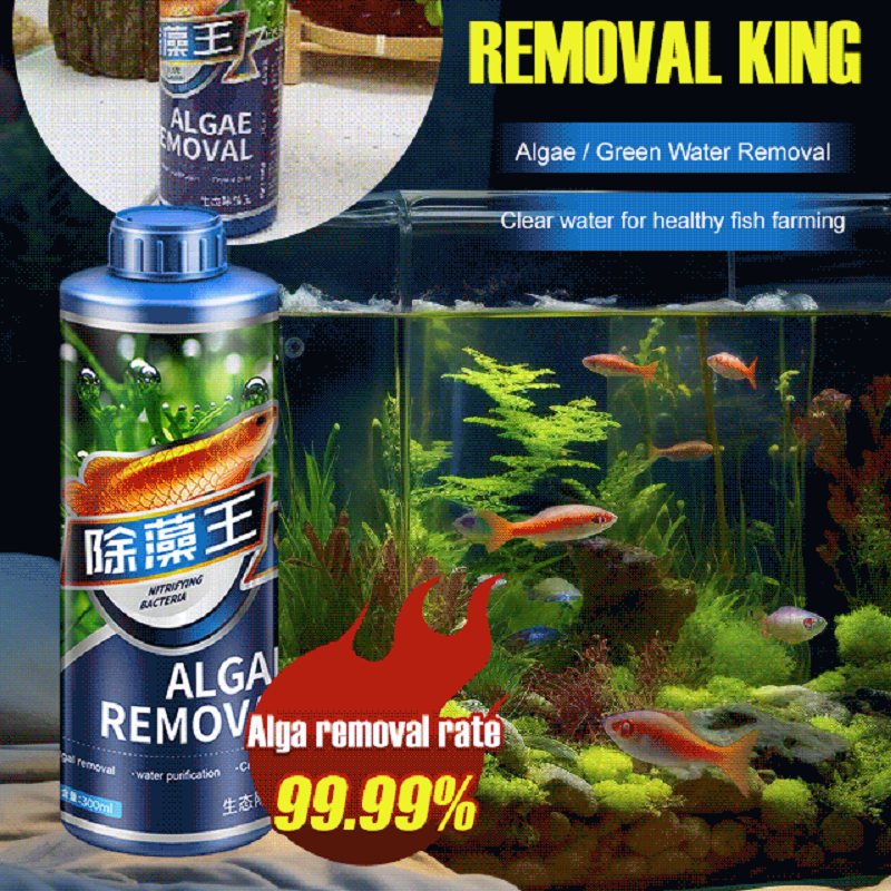 300 ミリリットル 1/2PC 殺藻剤水槽削除水族館コケ除去剤水槽水浄化藻類除去クリーナー浄化
