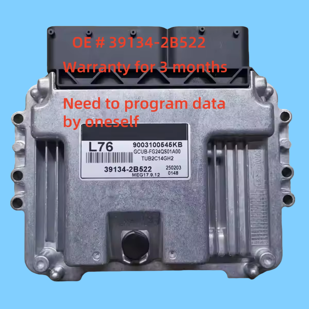 高品質 39134-2B522 391342B522 ECU 車のエンジンコンピュータボード電子制御ユニット MEG17.9.12 L76