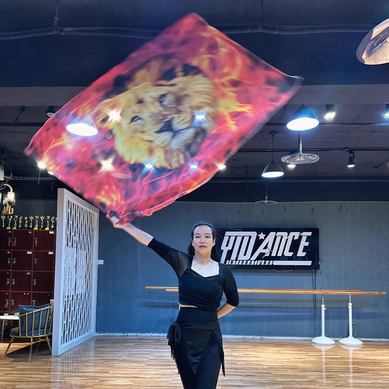 教会用レッド礼拝フラグセット 2 フレックスロッド 賛美ダンス シフォンフラグ フレキシロッド バンデラス デ ダンサ クリスティアナ デビッド ライオン 大人用
