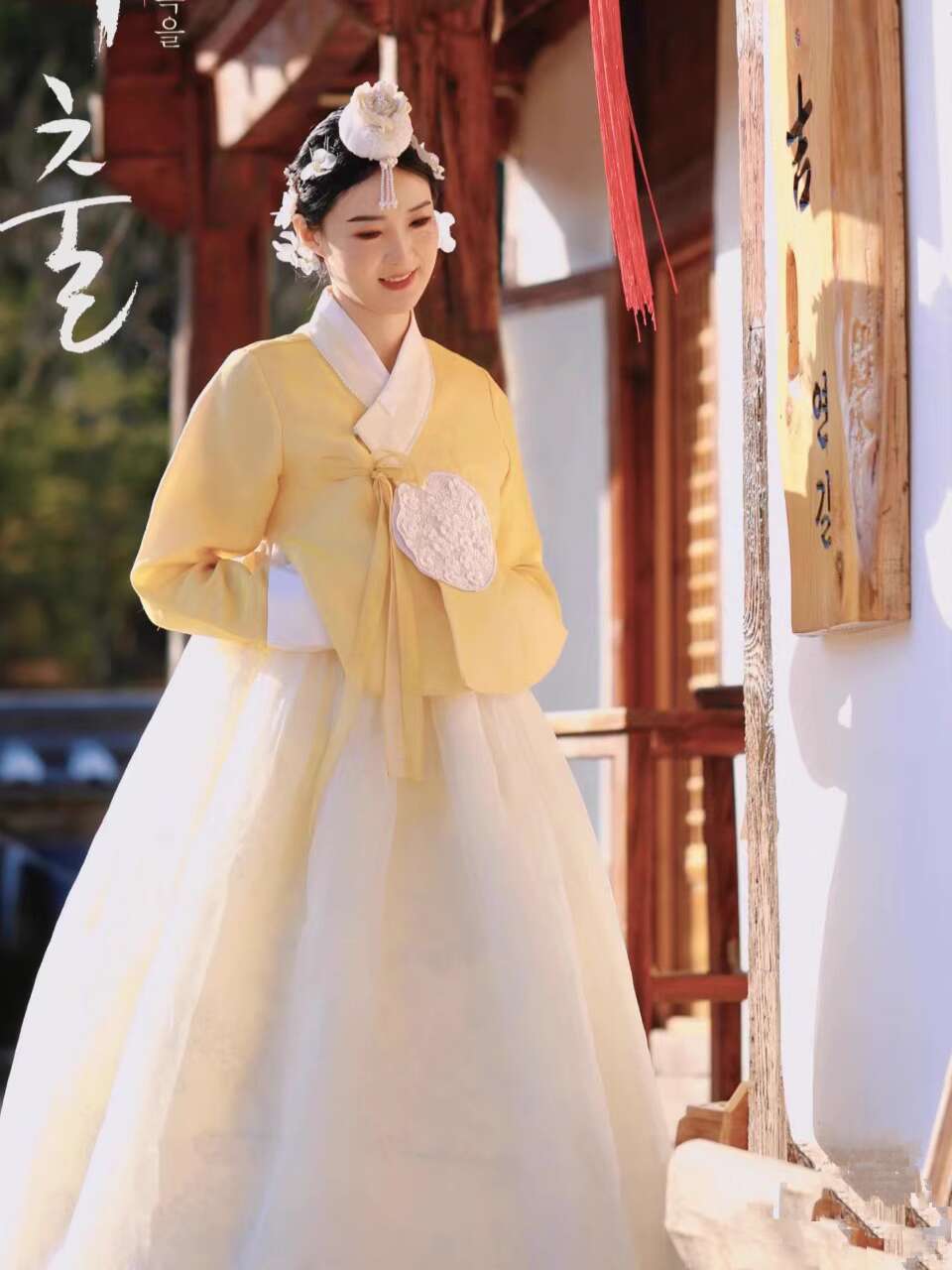 新しい韓国服女性のためのハイエンド本物の韓服延吉インターネット有名人写真スタジオ宮殿デイリードレス