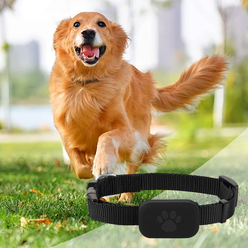 iOS および Android に適した調節可能なペットの首輪ペット追跡ロケーター防水首輪猫犬紛失防止ロケーター