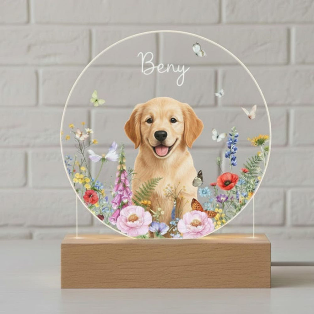 パーソナライズされた犬猫ペットメモリアルナイトライトカスタムアクリル USB ランプ動物写真記念品家の装飾雰囲気ライト
