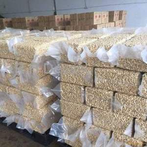 Raw Cashew Nuts W180, W210, W240, W320, WW Grade, Origin: South Africa, 25 kg Bulk Wholesale Suppliers and Exporters