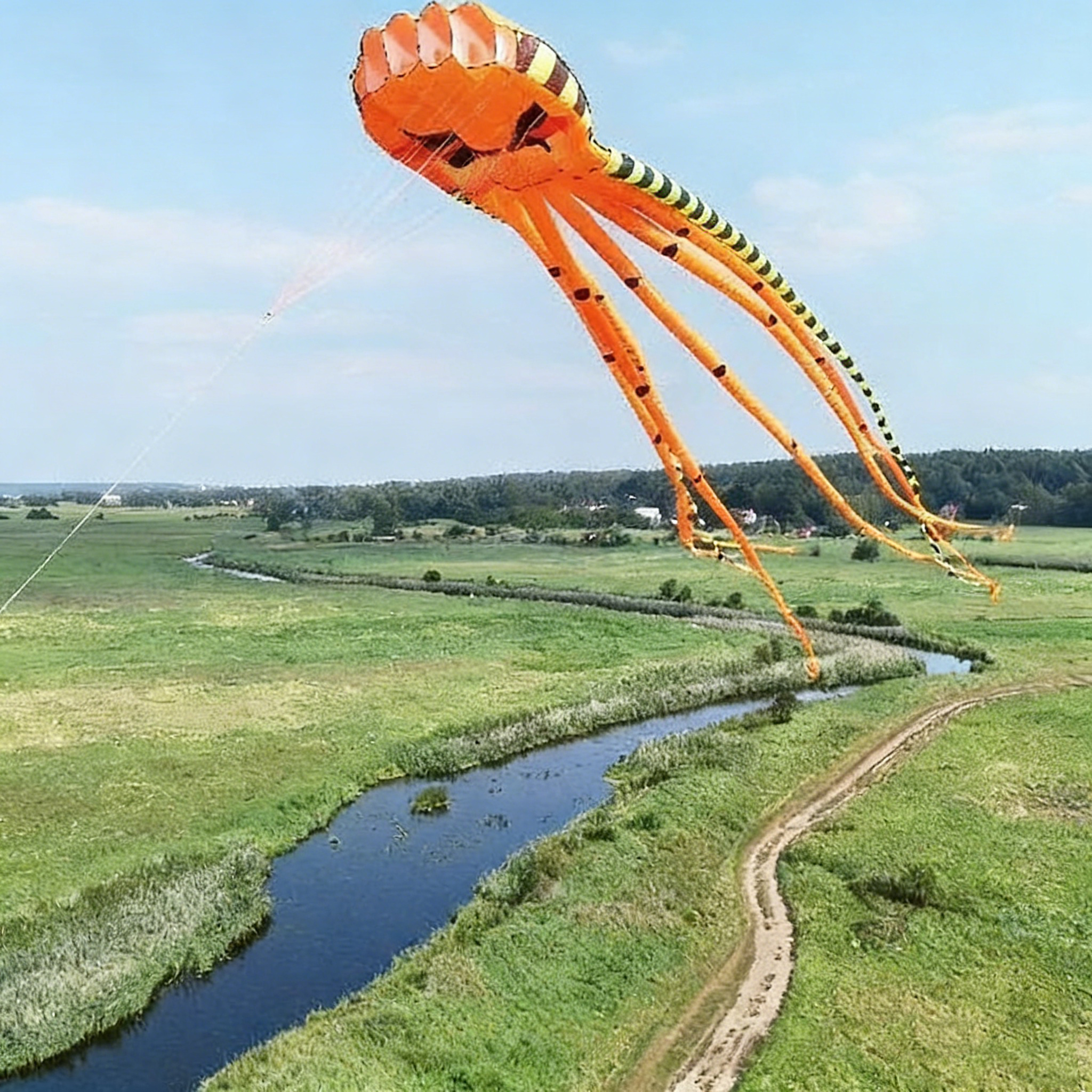 8M 3D ジャイアントソフトカイト、インフレータブルアニマルデザイン、耐引裂性ナイロン。大人/ティーン向け 14 歳、家族連れに最適