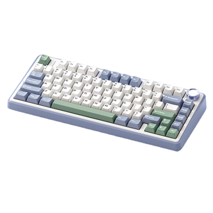 AULA F75 RGB LEDゲーミングキーボードは、75%有線USB接続と2.4Gワイヤレス接続に対応し、OEM（オリジナル機器メーカー）ロゴ、カスタムPBTメカニカルスイッチを搭載しており、デスクトップユーザーに適しています。