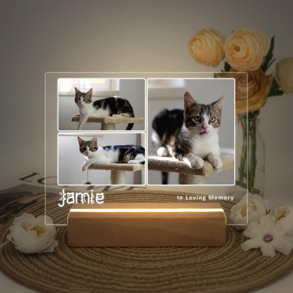 パーソナライズされたペットメモリアルプラーク 写真と名前をカスタム彫刻 犬猫の喪失に対するユニークなお悔やみの贈り物 木製ディスプレイ