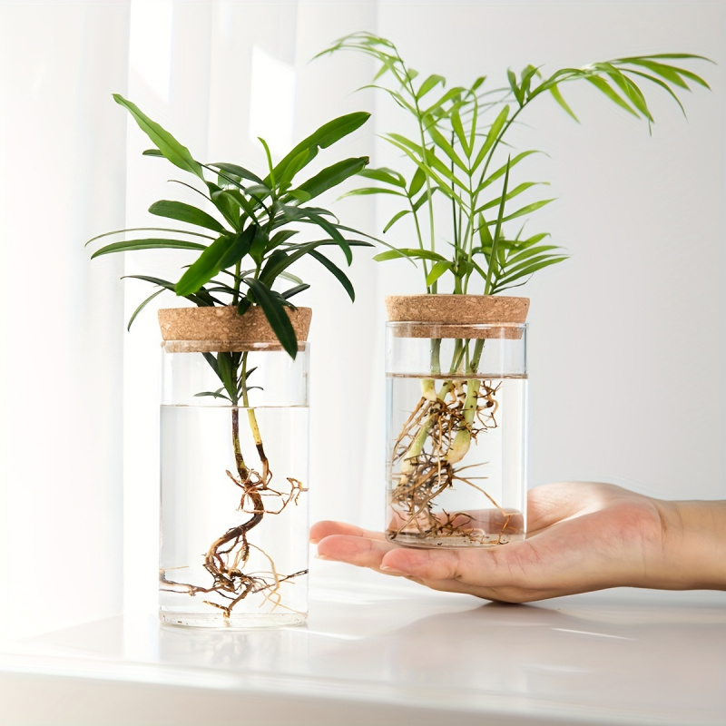 1pc、水耕栽培植物デスクトップガラスプランター花瓶家の装飾用、植物繁殖ステーション芽花瓶、デスクトップ水耕栽培