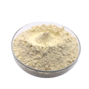 栄養強化剤として使用される活性小麦グルテン粉、CAS番号 8002-80-0