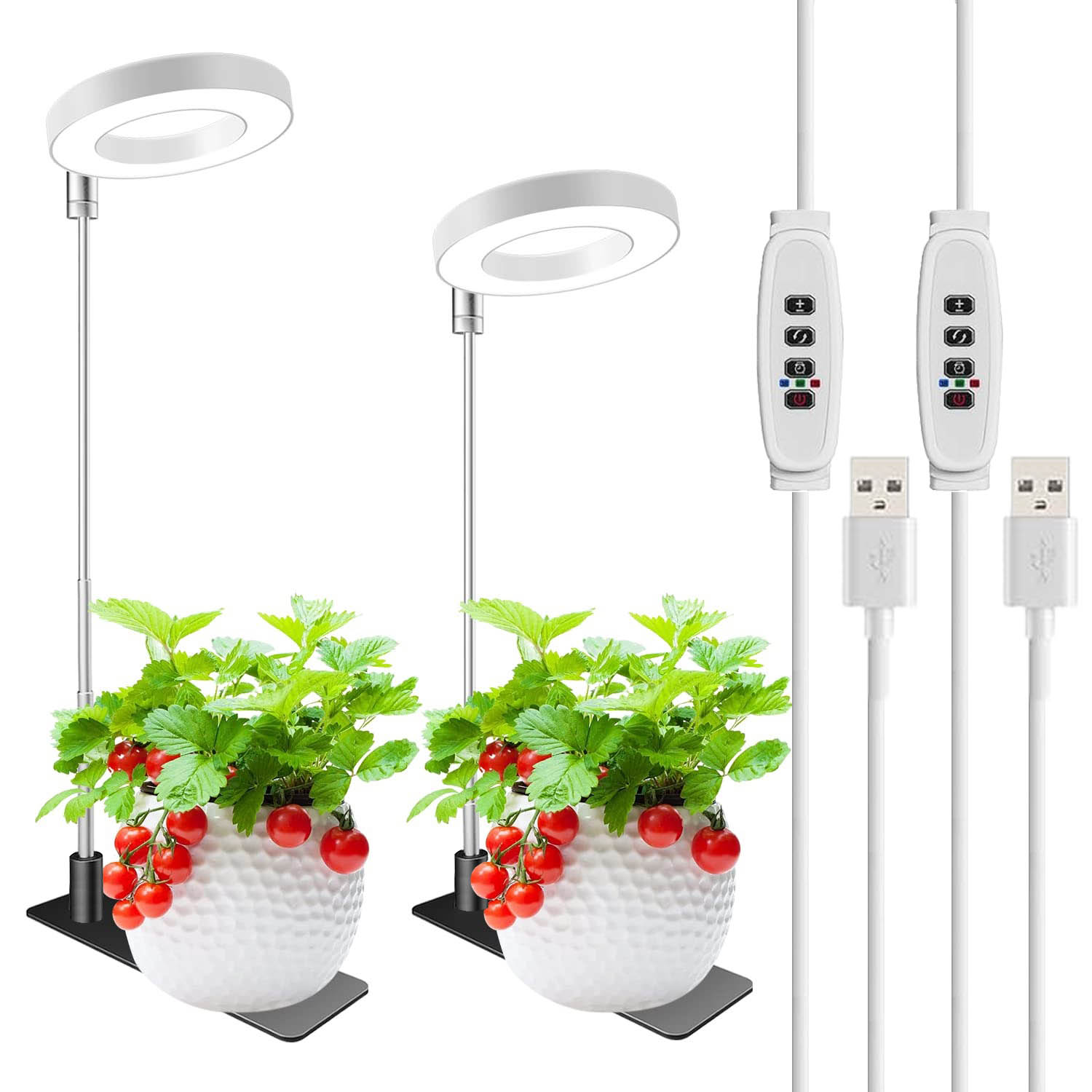 LEDリング成長ライト、スタンドベース3/6/12Hタイマー付きフルスペクトルハロー成長ランプ、小型屋内栽培用白色植物ライト