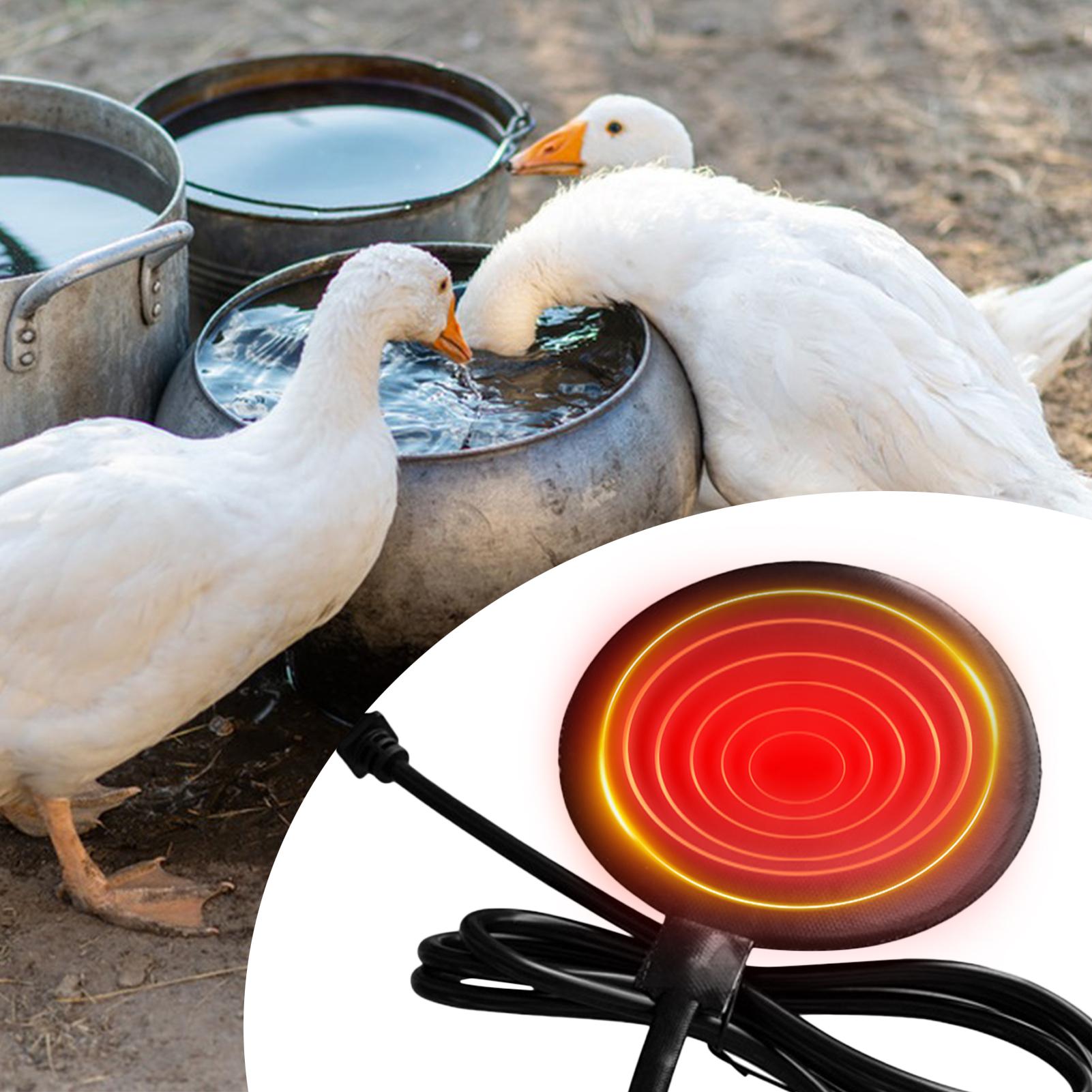 鶏給水器ヒーター 5.9 インチ凍結防止加熱ベース 20 ワット養鶏給湯器 60 インチコード付き冬の養鶏用