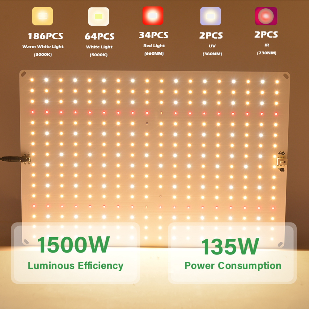 Leclstar Quantum LED 成長ライト Veg and Bloom Phytolamp、EU プラグ、植物フルスペクトル水耕ランプ温室花用