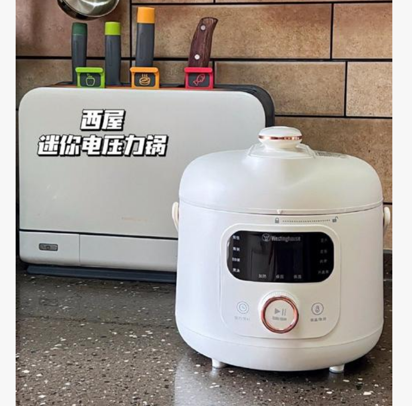 110 V/220 V 電気圧力鍋多機能家庭用米国日本カナダ輸出 FD