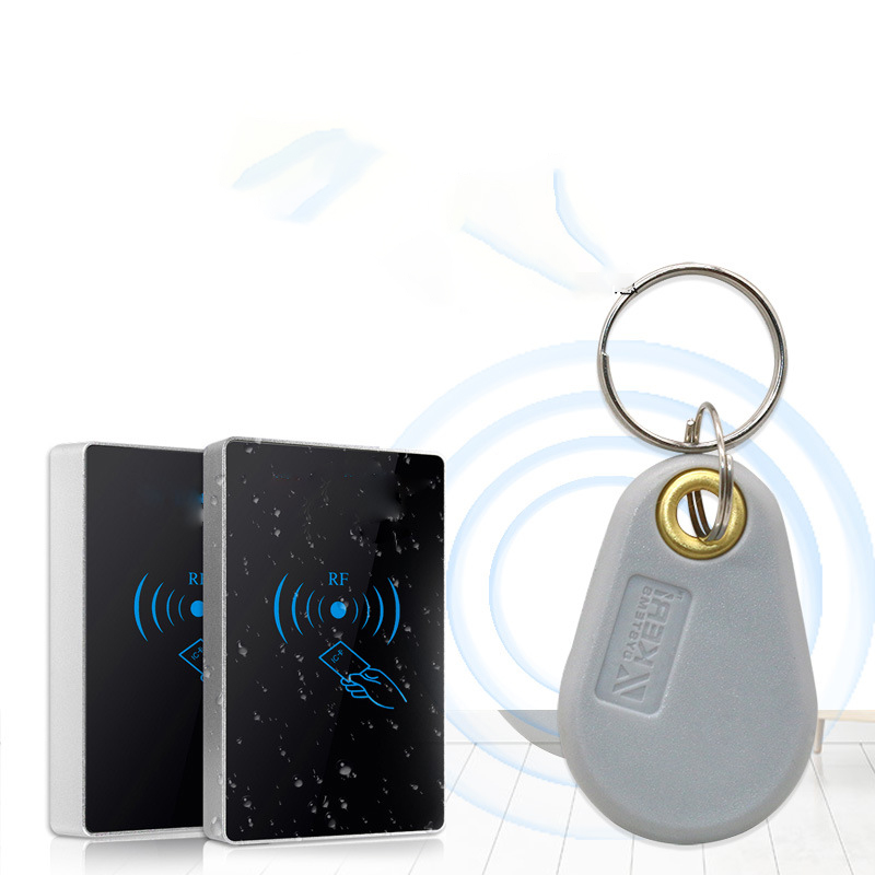 50/100 個 ID 125KHz EM4305 T5577 書き込み可能な RFID キータグリングトークンキーフォブ書き換え可能なグレーキーホルダーカードコピークローン複製