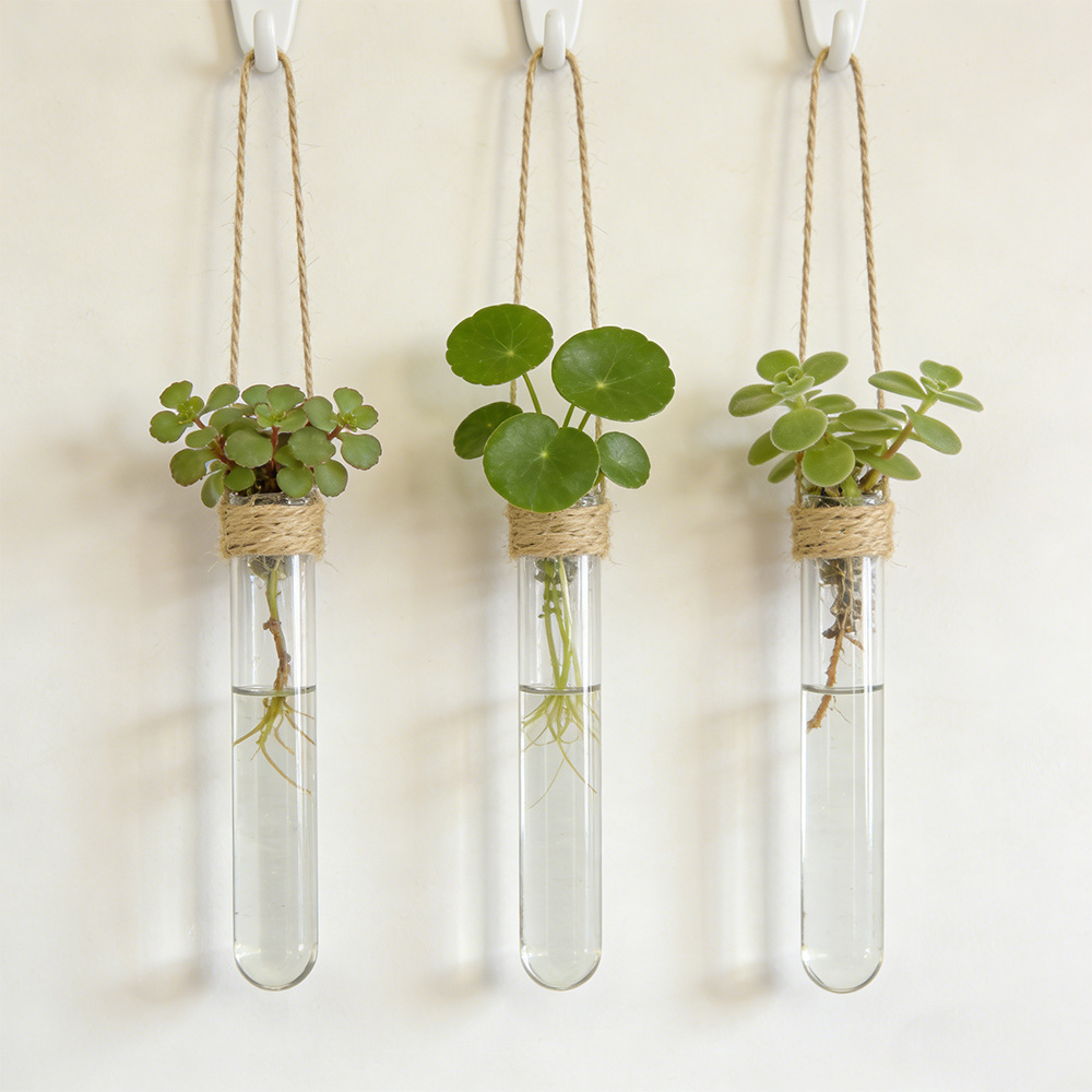 水耕花瓶壁掛け試験管花瓶水耕栽培ホームオフィスの装飾エアプランツホルダー家庭菜園の装飾
