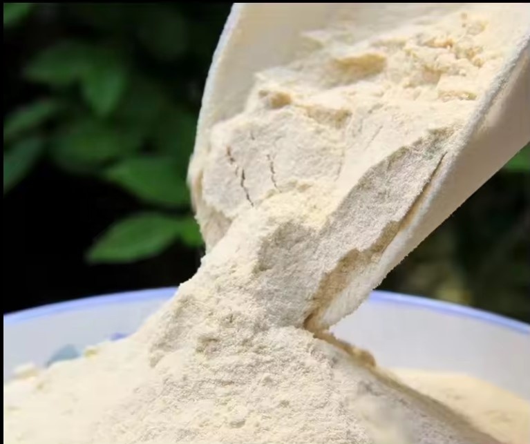 パン作り用小麦グルテンパウダー食品グレード25kgバッグ