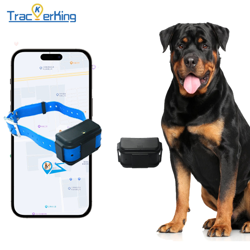 狩猟犬 GPS トラッカー紛失防止ペット首輪ペットトラッカーリアルタイム追跡 4G ペット紛失防止ロケーター