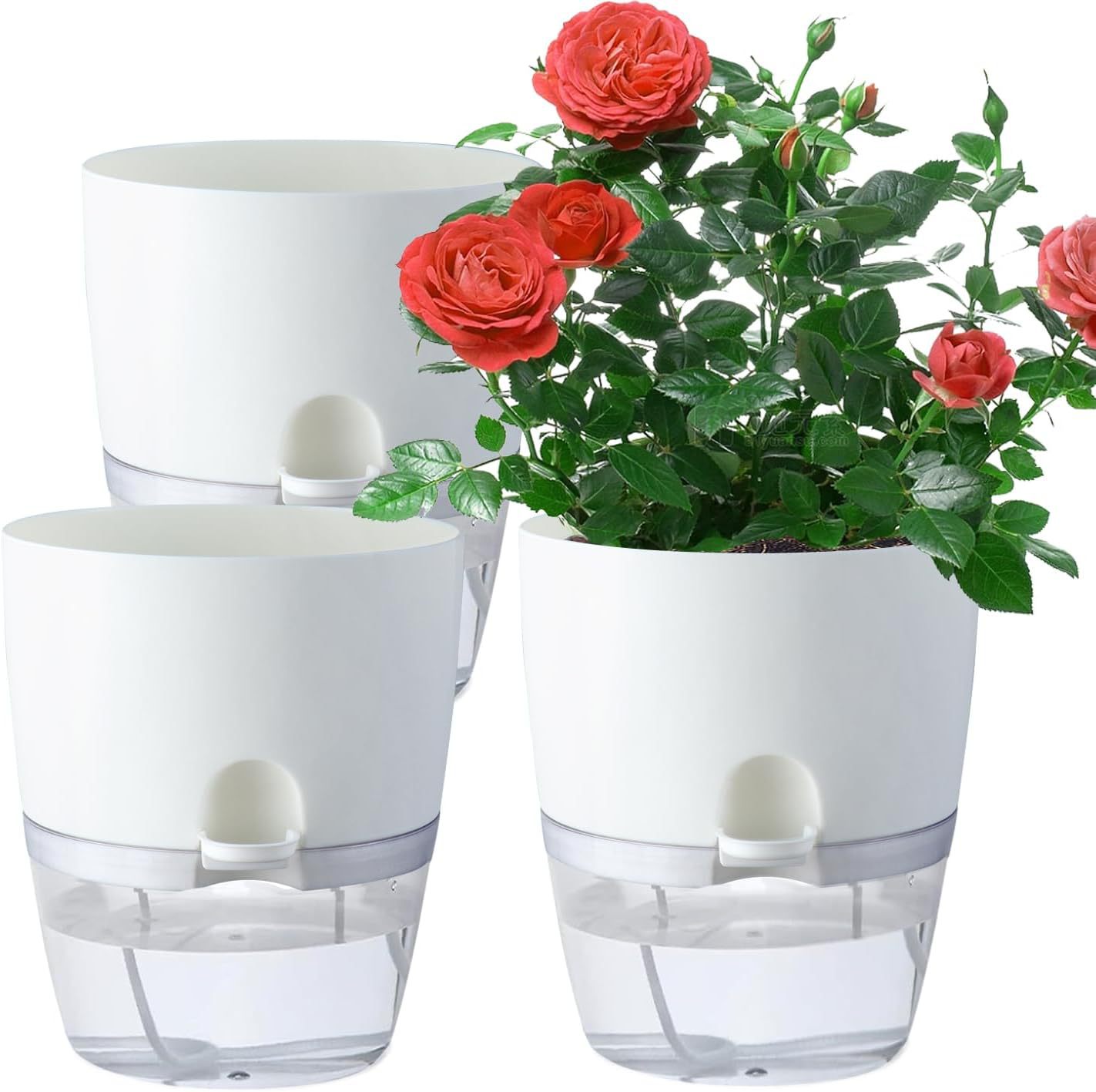 新しい植木鉢在庫あり透明プラスチック怠惰な植木鉢二層シンプルな自己吸収綿ロープ