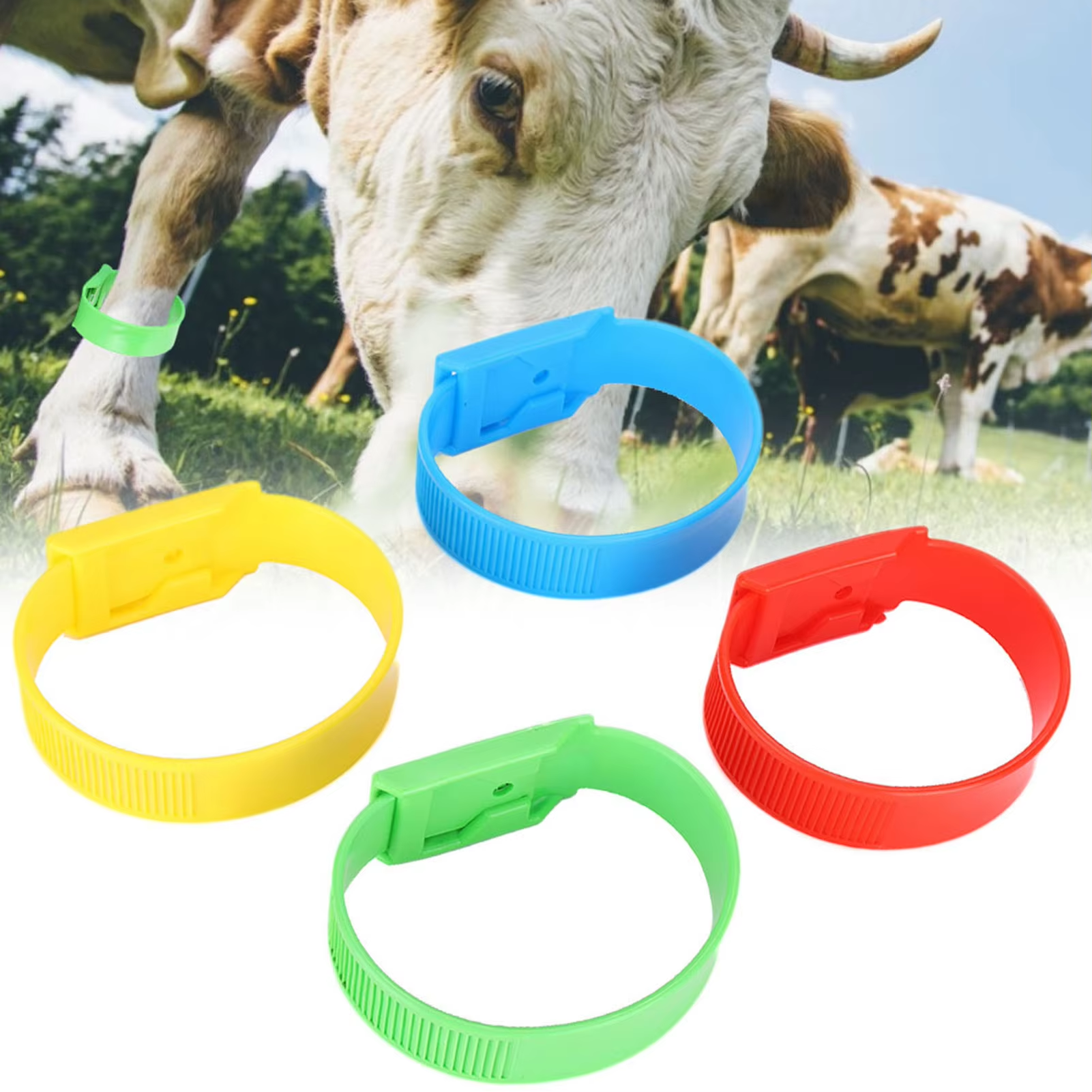 10/20 個牛識別バンド識別 ID 首輪バンド牛牛足リングマーキングリング用品農場家畜用