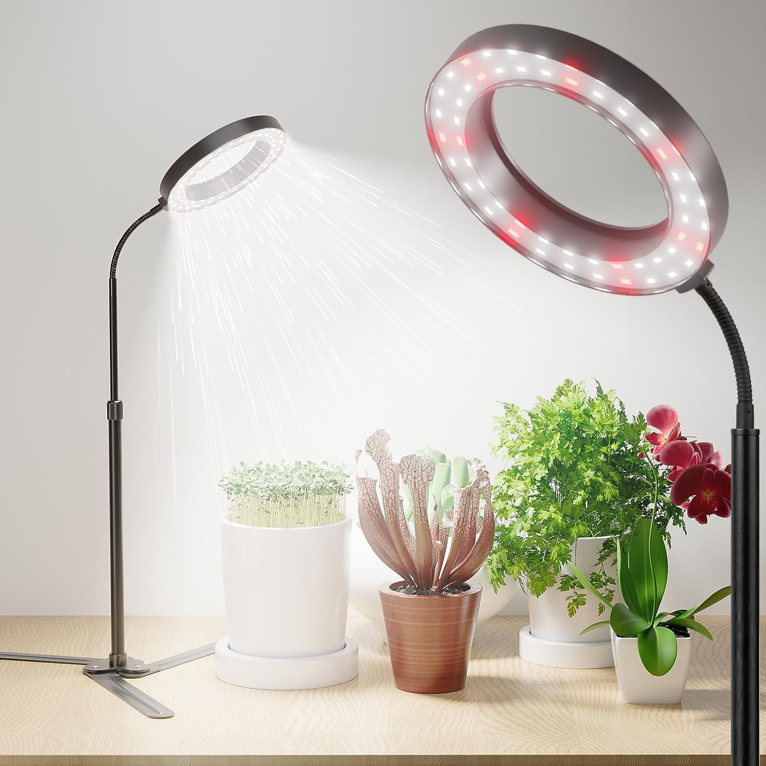 植物成長ライト LED フルスペクトル植物成長ランプ ホームオフィス屋内植物用、高さ調節可能