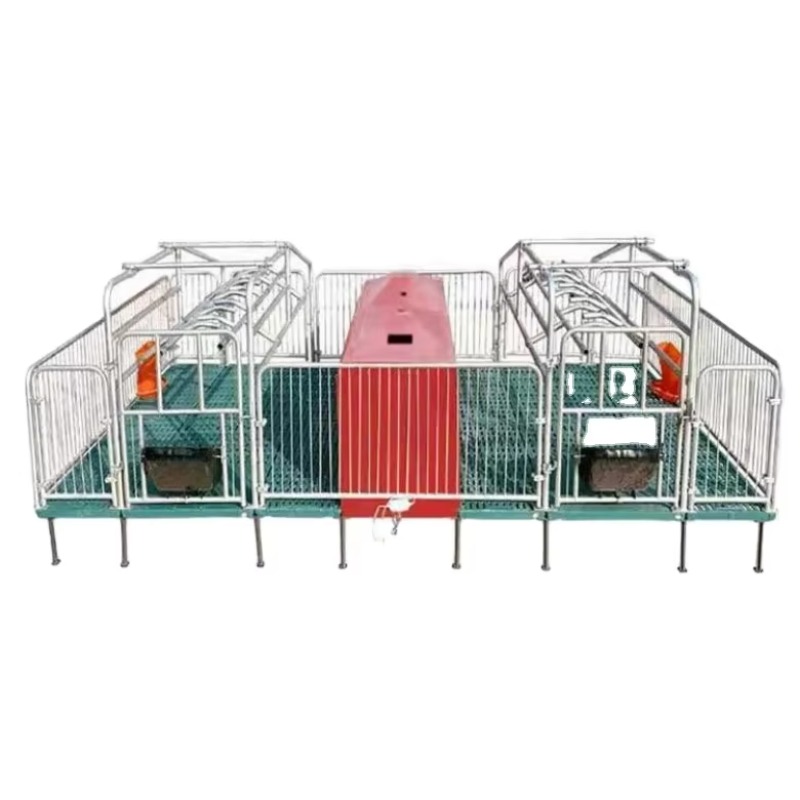 Customized  Double-unit Sow Farrowing Crate and Piglet Nursery Crate with Slatted Floor