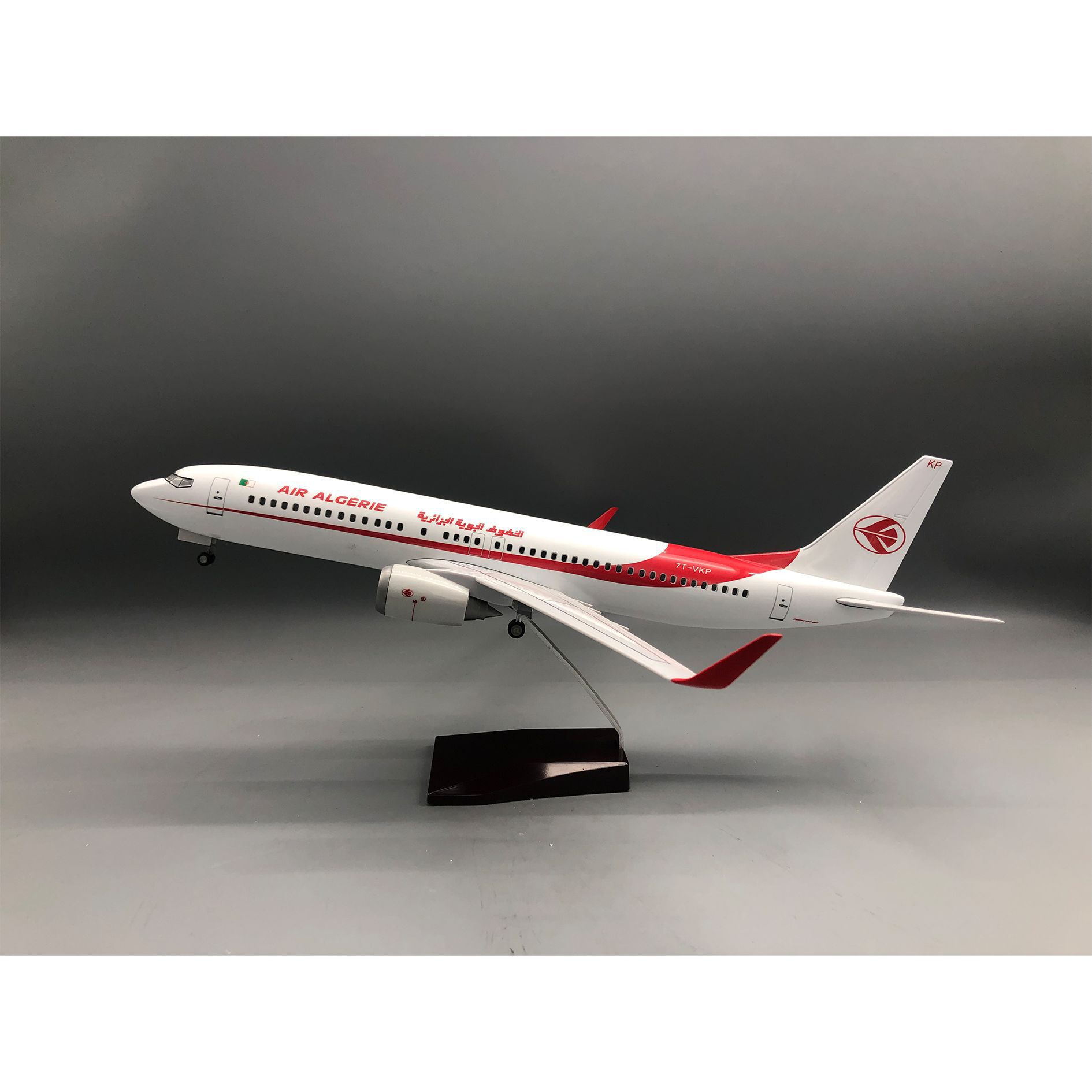 47cm 飛行機模型 アルジェリア航空 B737 プラモデル ライト付き