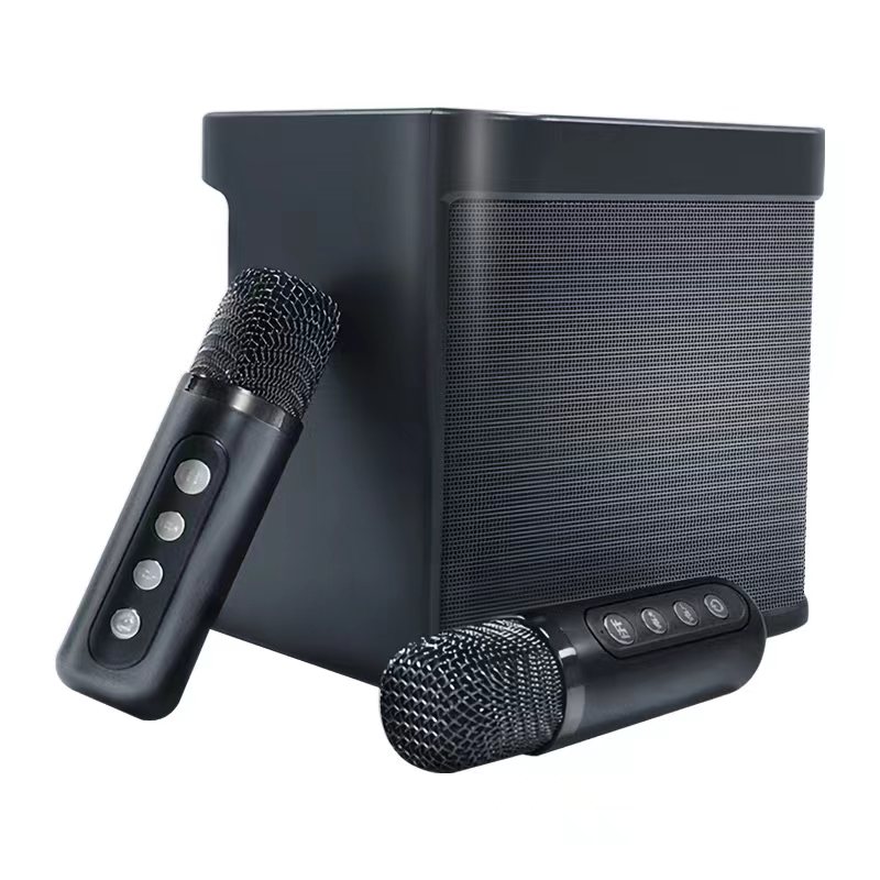 大人用カラオケマシン - ワイヤレスマイク2本付きBluetoothカラオケスピーカー、PAシステムスピーカーはTFカード/USB/AUXをサポート