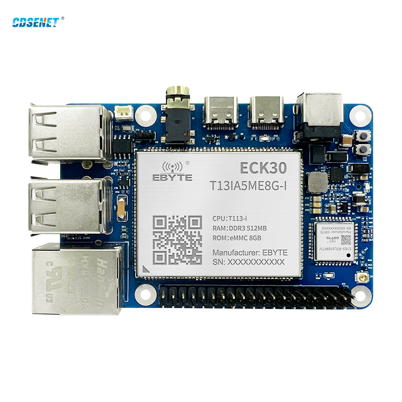 T113-I シングルボードコンピュータ CDSENET ECB30-P4T13IA5ME8G-I RISC-V DSP RJ45 WIFI CAN MIPI 512M DDR3 8GB EMMC 工業用グレード