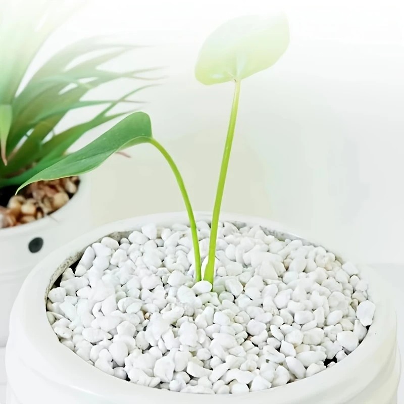 1L 高品質パーライト多肉植物蘭ユニバーサル植物底舗装装飾用プランター表面舗装、這うペットベッド