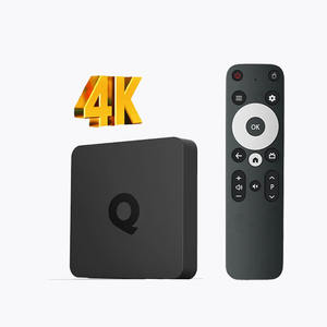 Lz 2025 売れ行き好調 Allwinner H313 Android TV BOX Q1 Android TV Box 高品質スマート Q1 TV Box Wifi対応アクセサリー