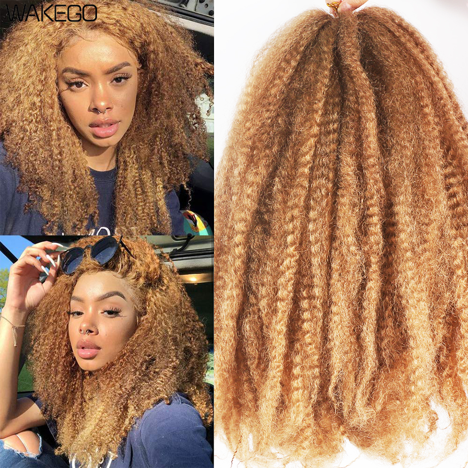 マーリーヘア用フェイク Locs 18 インチキューバツイストマーリー三つ編みヘア合成アフロ変態カーリーかぎ針編みヘアマーリーかぎ針編み三つ編み 100 グラム