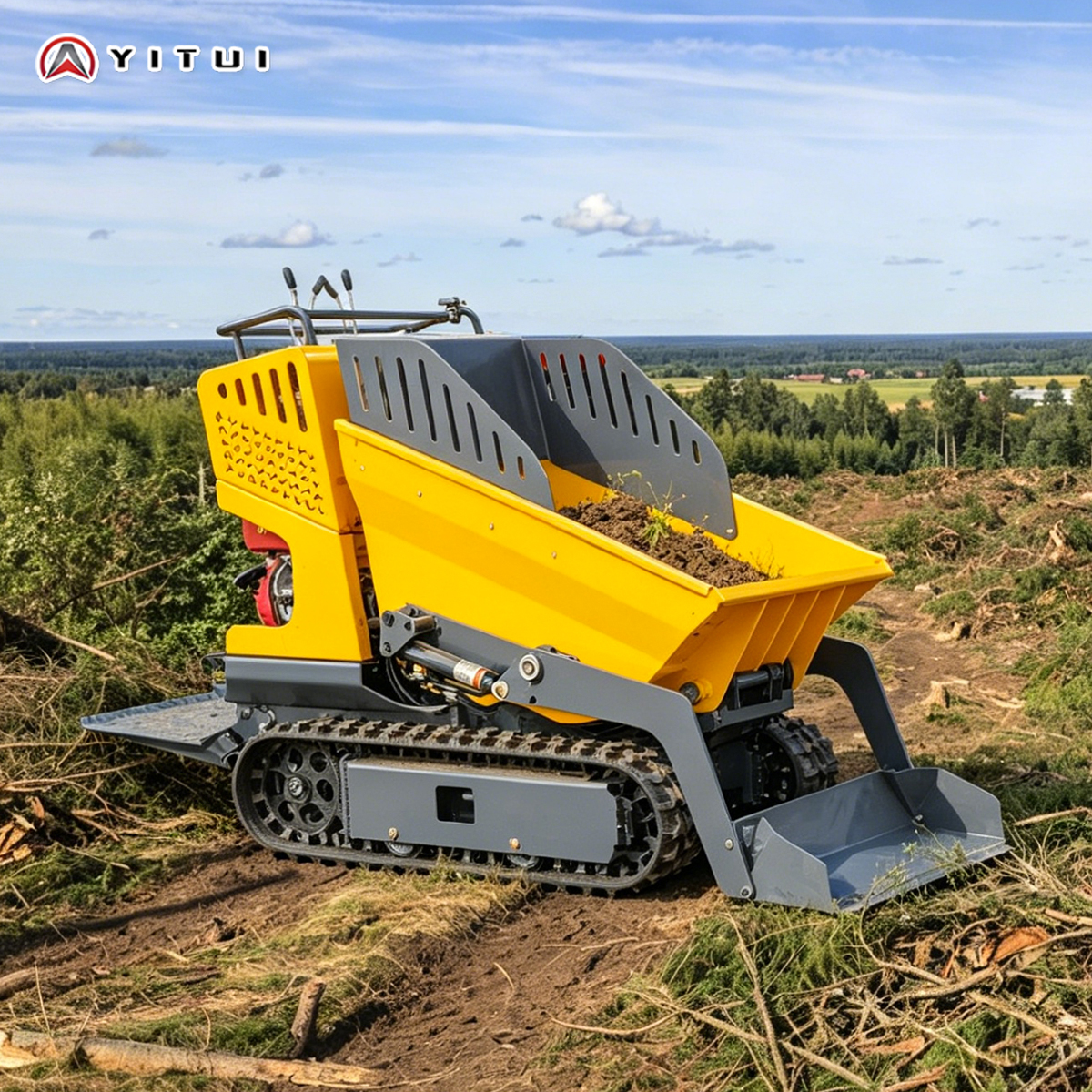 ミニダンパー追跡車両 Semovente Idraulico 建設鉱山機械 Ce Epa 認証ファームガーデン使用カスタマイズ