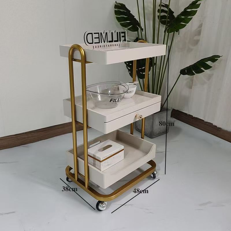 ハイエンドオリジナルライト高級トロリービューティーサロンスキン管理車木製収納棚金属プラスチックツール車用